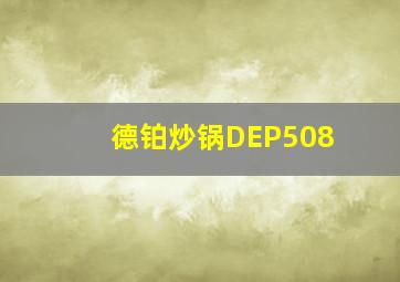 德铂炒锅DEP508