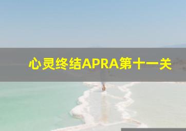 心灵终结APRA第十一关