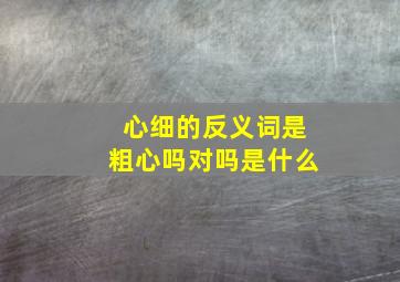 心细的反义词是粗心吗对吗是什么