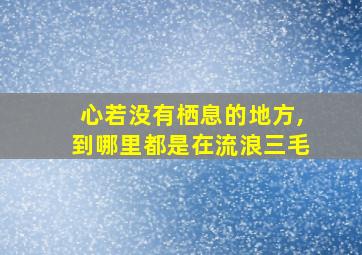 心若没有栖息的地方,到哪里都是在流浪三毛