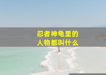 忍者神龟里的人物都叫什么