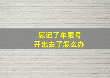 忘记了车限号开出去了怎么办