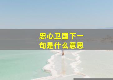 忠心卫国下一句是什么意思