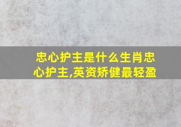 忠心护主是什么生肖忠心护主,英资矫健最轻盈