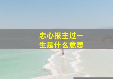 忠心报主过一生是什么意思