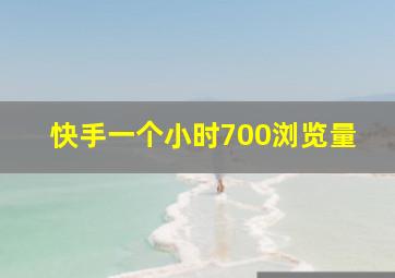 快手一个小时700浏览量