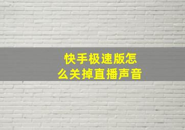 快手极速版怎么关掉直播声音