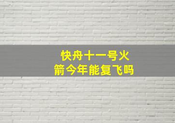 快舟十一号火箭今年能复飞吗