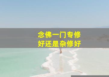 念佛一门专修好还是杂修好