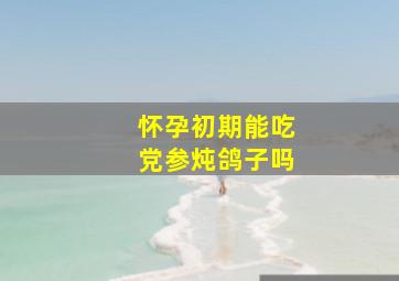 怀孕初期能吃党参炖鸽子吗