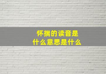 怀揣的读音是什么意思是什么