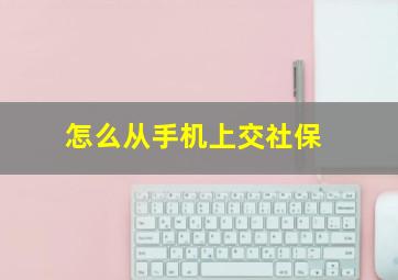 怎么从手机上交社保