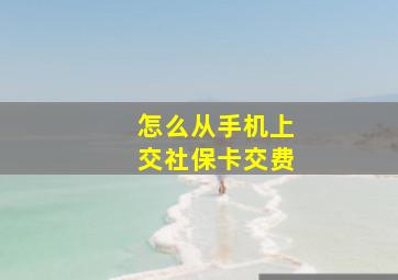 怎么从手机上交社保卡交费