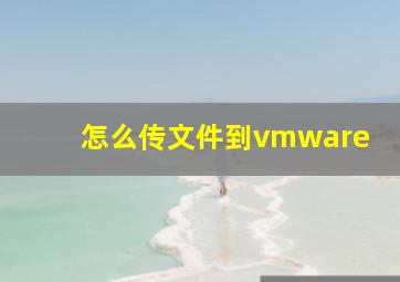 怎么传文件到vmware