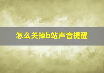 怎么关掉b站声音提醒