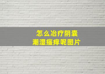 怎么冶疗阴囊潮湿瘙痒呢图片