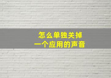 怎么单独关掉一个应用的声音