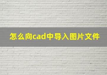 怎么向cad中导入图片文件