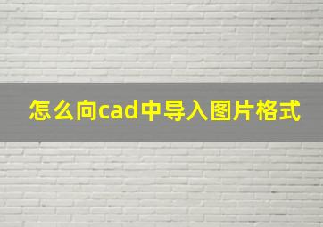 怎么向cad中导入图片格式