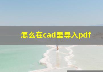 怎么在cad里导入pdf