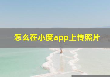 怎么在小度app上传照片