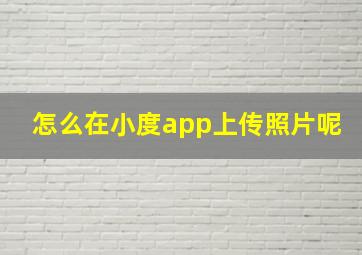 怎么在小度app上传照片呢