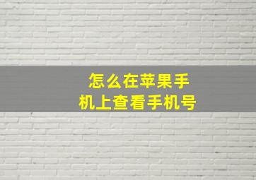 怎么在苹果手机上查看手机号