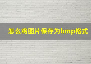 怎么将图片保存为bmp格式