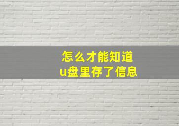 怎么才能知道u盘里存了信息