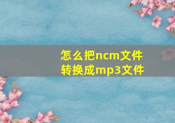 怎么把ncm文件转换成mp3文件