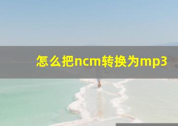 怎么把ncm转换为mp3