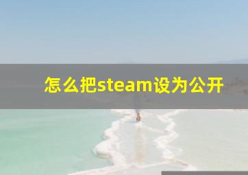 怎么把steam设为公开