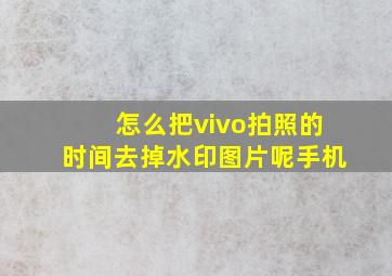 怎么把vivo拍照的时间去掉水印图片呢手机