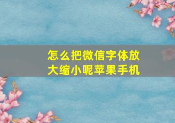 怎么把微信字体放大缩小呢苹果手机