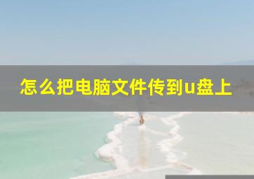 怎么把电脑文件传到u盘上