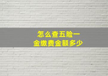 怎么查五险一金缴费金额多少