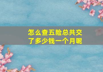 怎么查五险总共交了多少钱一个月呢