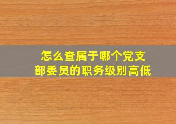 怎么查属于哪个党支部委员的职务级别高低