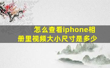 怎么查看iphone相册里视频大小尺寸是多少