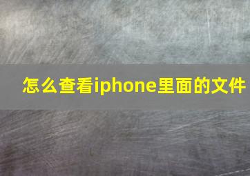 怎么查看iphone里面的文件