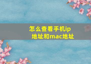 怎么查看手机ip地址和mac地址