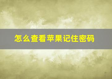 怎么查看苹果记住密码