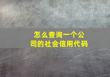 怎么查询一个公司的社会信用代码