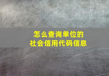 怎么查询单位的社会信用代码信息