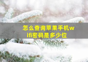 怎么查询苹果手机wifi密码是多少位