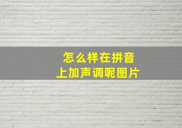 怎么样在拼音上加声调呢图片