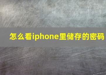 怎么看iphone里储存的密码