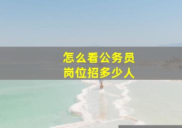 怎么看公务员岗位招多少人