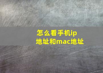 怎么看手机ip地址和mac地址