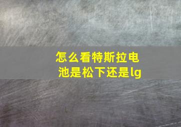 怎么看特斯拉电池是松下还是lg